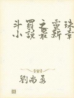 斗罗之灵珠神剑小说最新章节目录