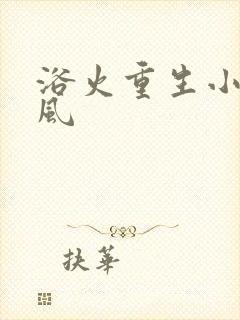 浴火重生小说陈风