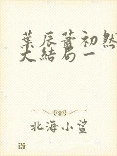 叶辰萧初然完结大结局一