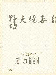 野火烧春 龙鸣功