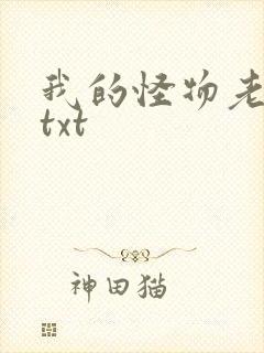 我的怪物老婆们txt