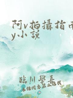 阿v拍摄指南by小说