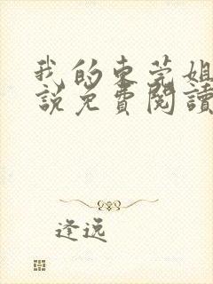 我的东莞姐姐小说免费阅读最新章节