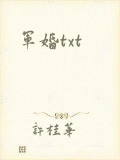军婚txt