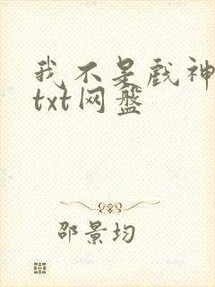 我不是戏神小说txt网盘