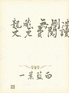 龙藏 无删减全文免费阅读
