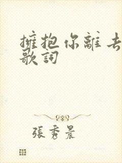 拥抱你离去原唱歌词