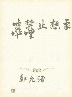 嘘禁止想象哔哩哔哩