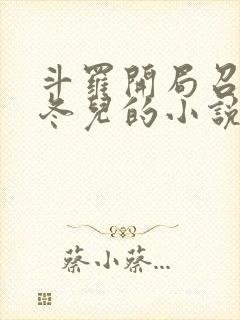 斗罗开局召唤王冬儿的小说