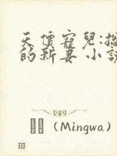 天价宠儿:总裁的新妻 小说