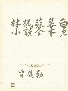 林枫苏慕白穿越小说全本免费阅读最新版