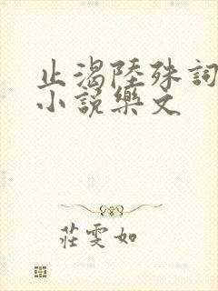 止渴陆殊词陆筝小说乐文