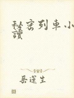 秘密列车小说阅读