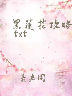 黑莲花攻略手册 txt