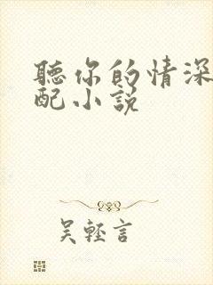 听你的情深我不配小说