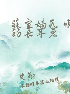 苏家嫡氏 吃肉的长耳兔