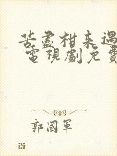 苦尽柑来遇见你 电视剧免费