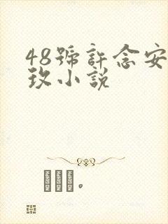 48号许念安穆玫小说