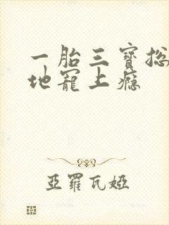 一胎三宝总裁爹地宠上瘾