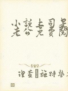 小说上司是隐婚老公免费阅读