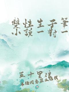 双性生子笔趣阁小说一对一