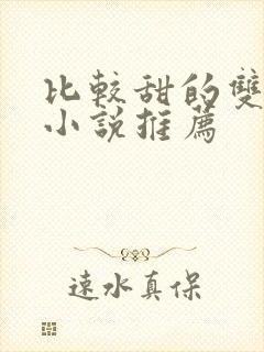 比较甜的双男主小说推荐