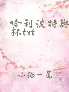 哈利波特与火焰杯txt