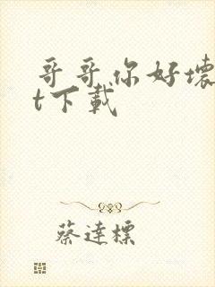 哥哥你好坏txt下载