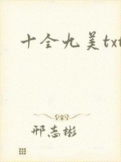 十全九美txt