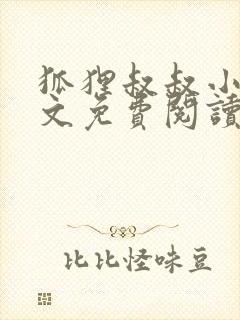 狐狸叔叔小说全文免费阅读无删减