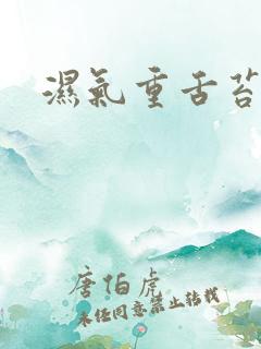 湿气重舌苔白厚