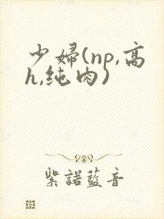 少妇(np,高h,纯肉)