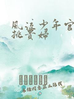 风流少年官途情挑贵妇