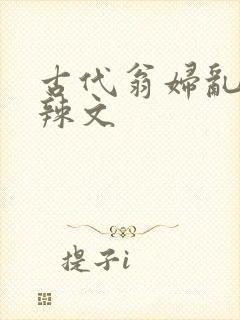 古代翁妇乱高h辣文