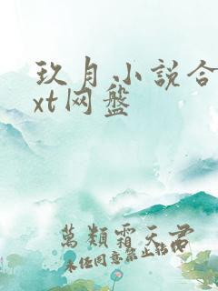 玖月小说合集txt网盘