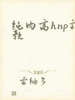 纯肉高hnp调教