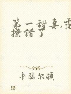 第一甜妻,霍少撩错了