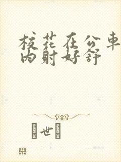 校花在公车上被内射好舒