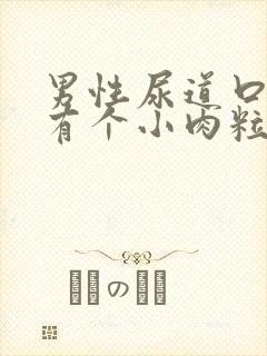 男性尿道口下方有个小肉粒