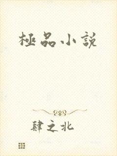 极品小说