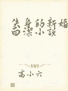 失身的新婚少妇白洁小说