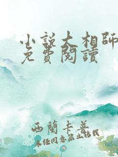 小说大相师全文免费阅读