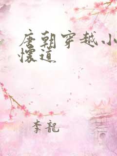 唐朝穿越小说秦怀道