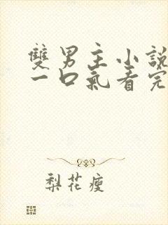 双男主小说完结一口气看完