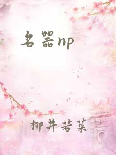 名器np