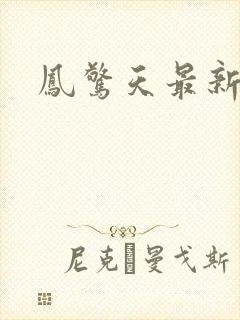 凤惊天最新章节