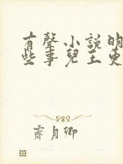 有声小说明朝那些事儿王更新