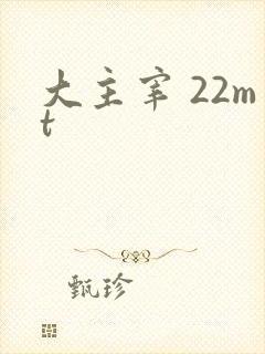 大主宰 22mt