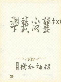 渊薮小说txt下载网盘