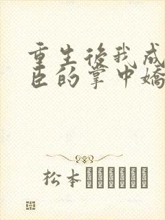 重生后我成了权臣的掌中娇全